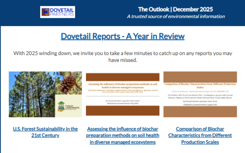 The Outlook | December 2025
